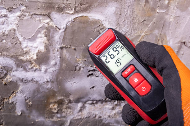 Best Black Mold Removal  in The Dalles, OR