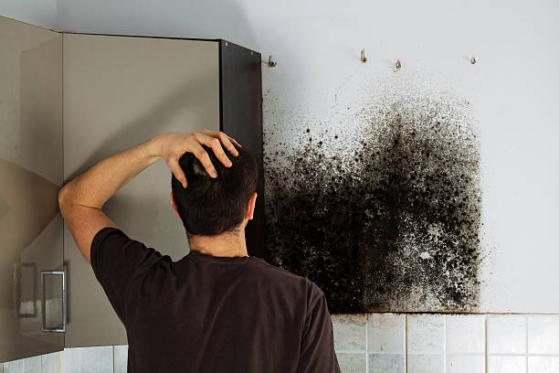 Best Mold Removal Near Me  in The Dalles, OR
