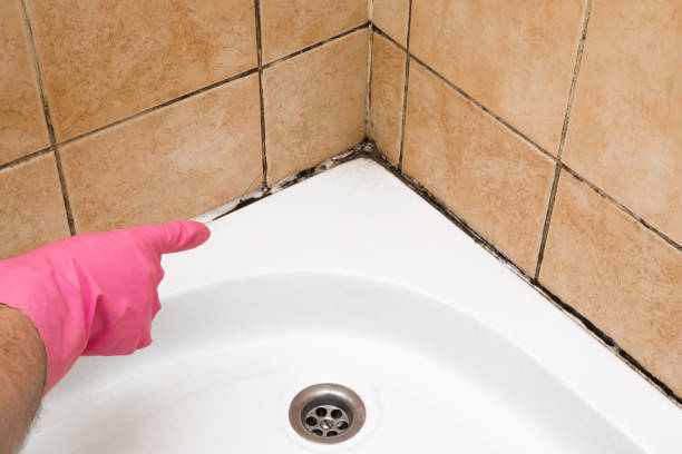 Best Mold Cleaning Services  in The Dalles, OR